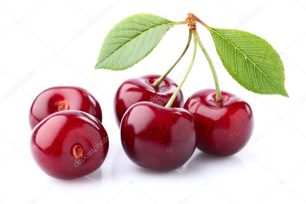 Sweet cherry with leaves 