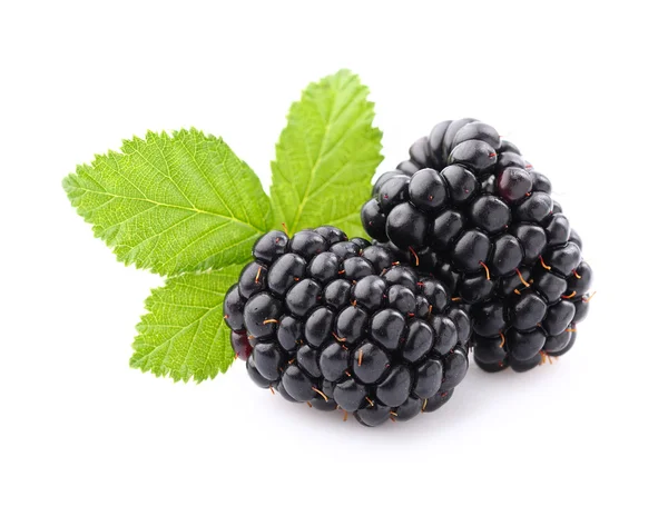 Sweet blackberry with leaves — Stock Photo, Image
