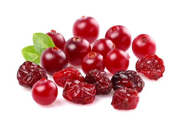 Cranberry segar dan kering — Stok Foto
