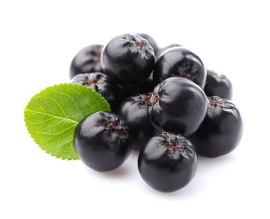 Chokeberry with leaf clipart