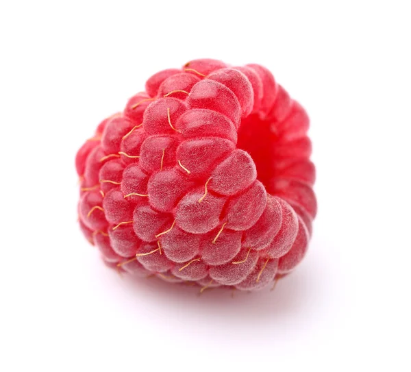 Une framboise en gros plan — Photo