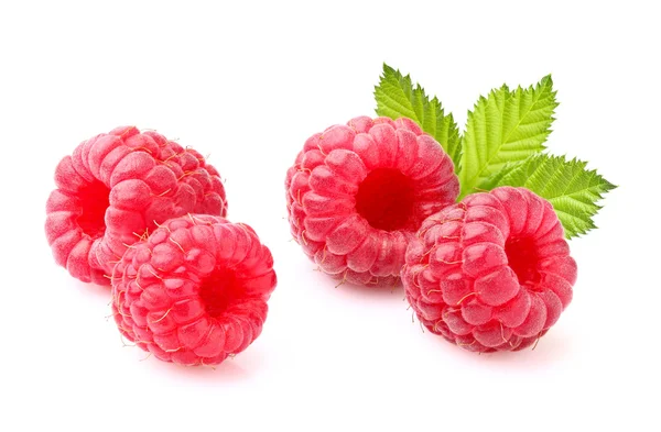 Juicy raspberry in closeup — Stock Photo, Image