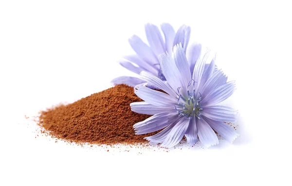 Chicory Flowers Crushed Root White Background Natural Caffeine Free Drink — Stock Photo, Image