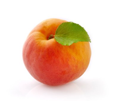 Yakından yapraklı kayısı.