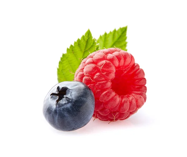 Raspberry Blueberry Leaves — Stock Photo, Image