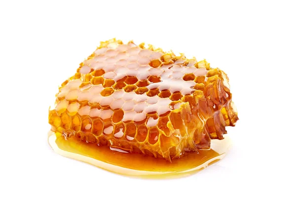 Wild Honeycomb Closeup White Background — Stock Photo, Image