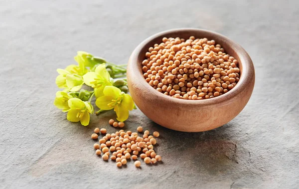 Mustard Seeds Flowers Gray Background — Stock Photo, Image