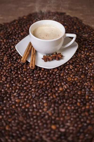 Coffee cup with cinnamon and anise — Stock Photo, Image