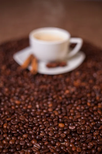 Coffee cup on dark roasted beans — Stock Photo, Image