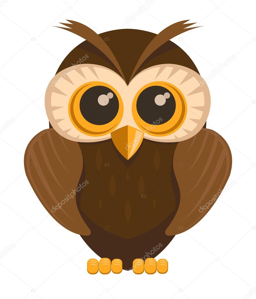 Vector owl bird