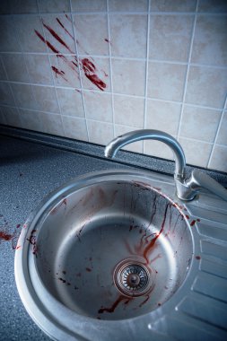 Kanlı mutfak fayans ve lavabo