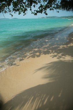 Idyllic tropical beach