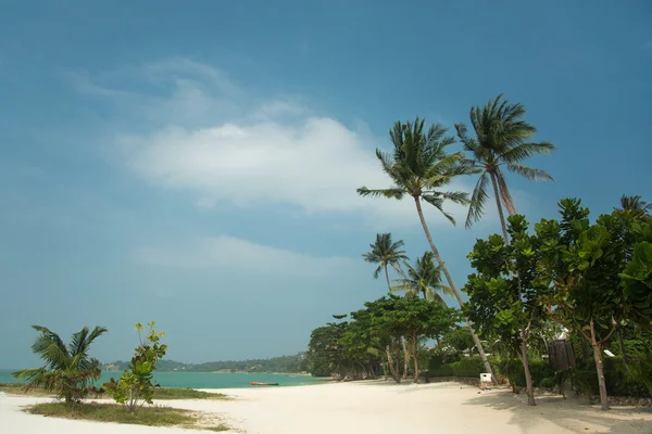 Vakker tropisk strand – stockfoto