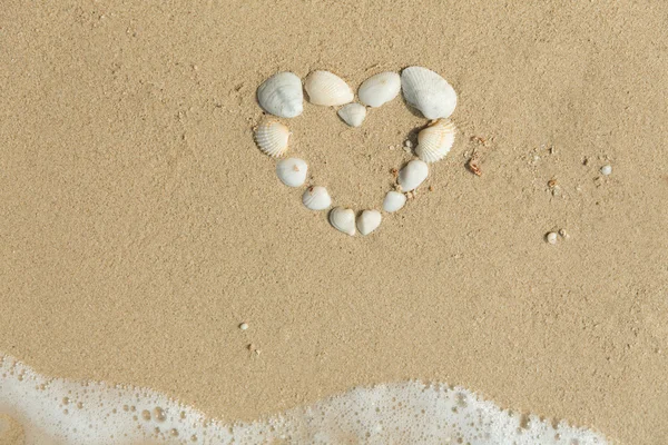 Conchas do mar formando coração — Fotografia de Stock