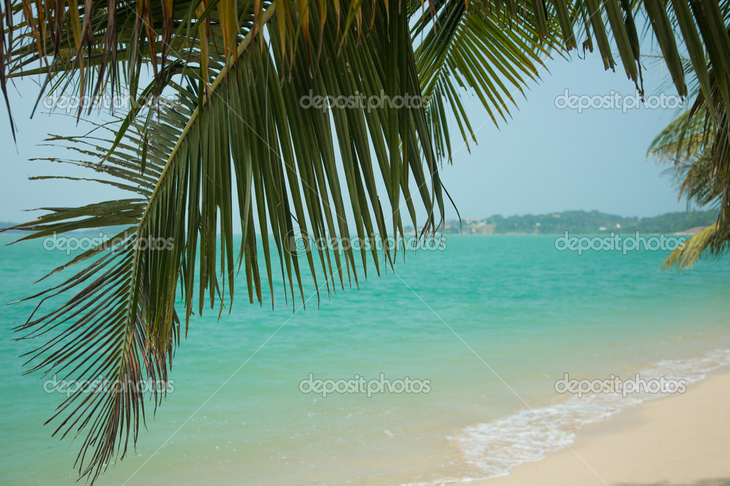 Beautiful Tropical Beach — Stock Photo © Elisanth 39231007