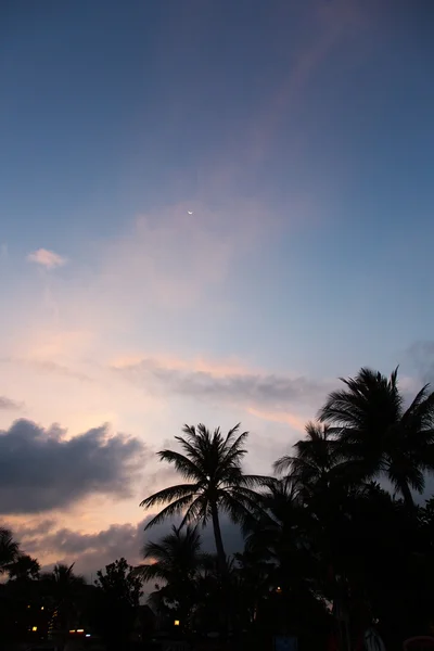 Belle plage tropicale — Photo