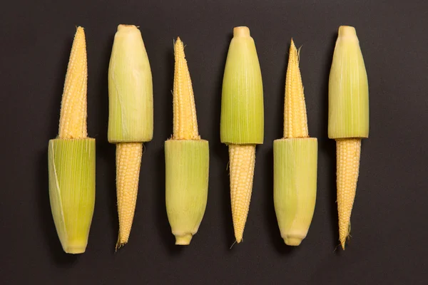 Studio shot of baby corn — Stock Photo, Image