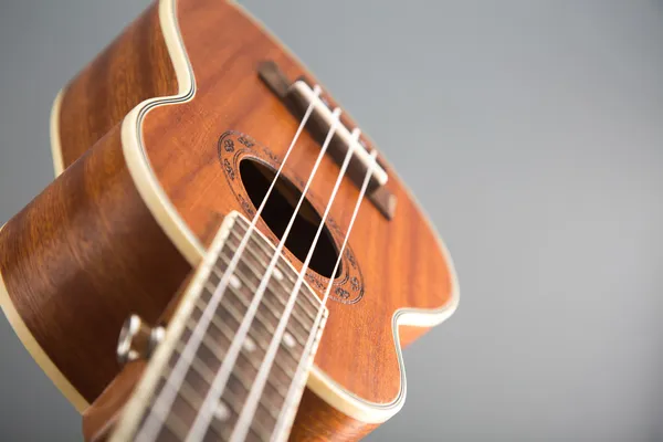 Zár-megjelöl szemcsésedik-ból ukulele-gitár — Stock Fotó
