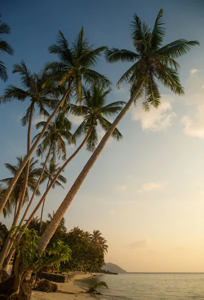 Beautiful tropical beach in the evening — Stock Photo, Image