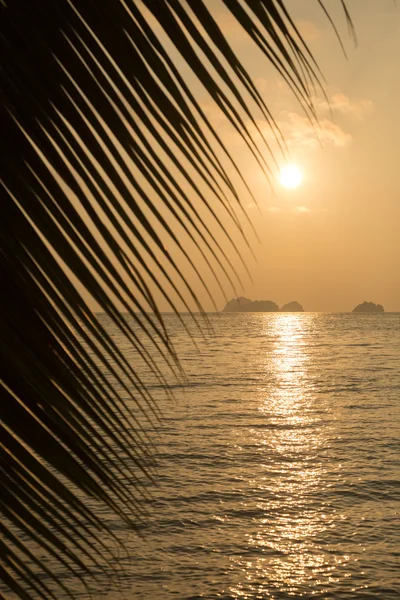 Tropické slunce nad mořem — Stock fotografie