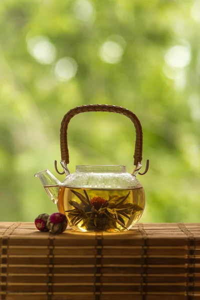 Transparente Teekanne mit blühender Teeblume — Stockfoto
