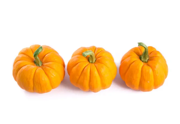 Rij van decoratieve oranje pumpkins — Stockfoto