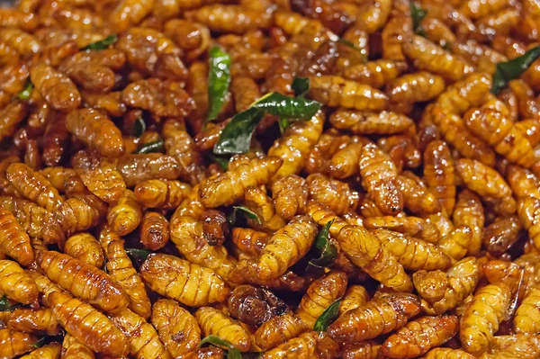 Fried silkworms at night market Thailand — Stock Photo © Observer #21358247