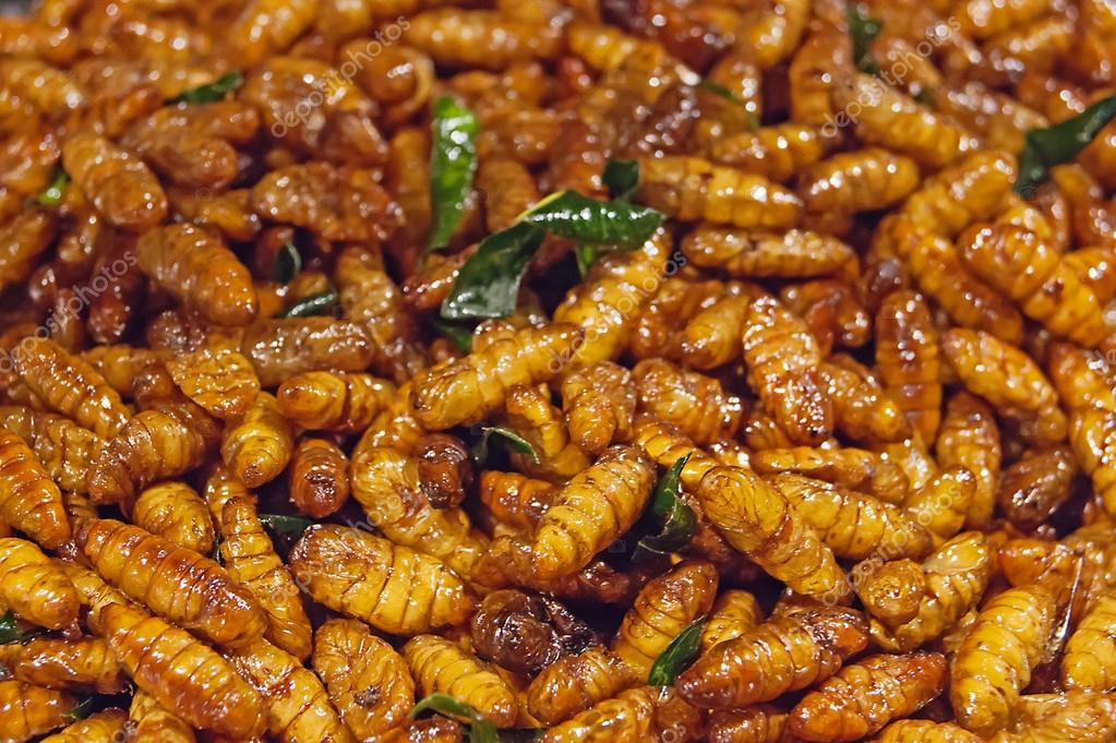 Fried silkworms at night market Thailand — Stock Photo © Observer 21358247
