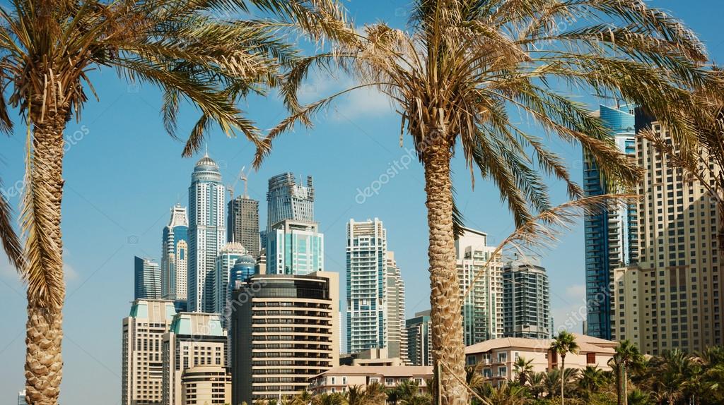 High rise buildings and palm trees in Dubai, UAE — Stock Photo