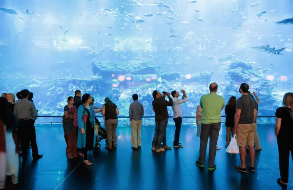 View of Dubai Aquarium inside Dubai Mall