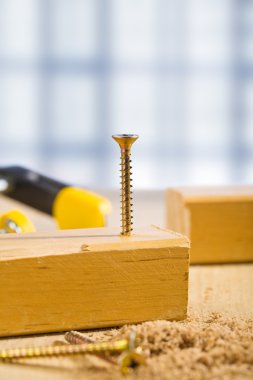 the screw in wooden plank