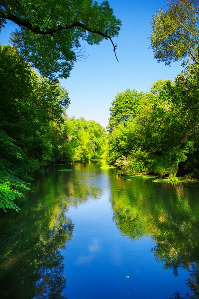 Fluss im Wald — Stockfoto