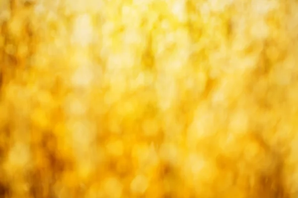 Bokeh des goldenen reifen Weizens — Stockfoto
