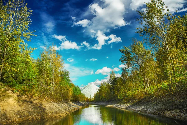 Berg im Wald — Stockfoto