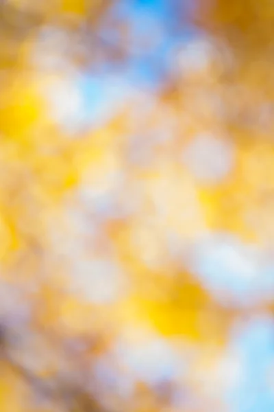 Gele herfst bokeh — Stockfoto