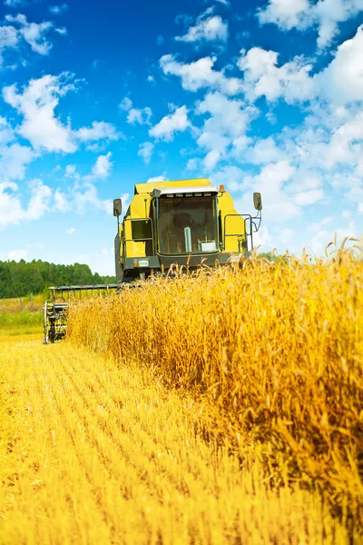 Combinare mietitrebbia nel lavoro — Foto Stock