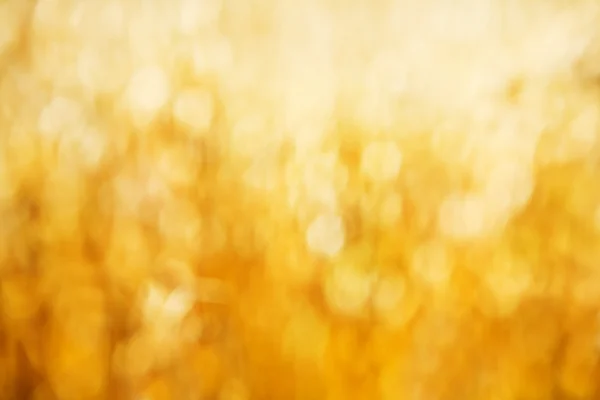 Goldenes Bokeh — Stockfoto