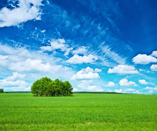 Vista no campo verde e céu azul — Fotografia de Stock