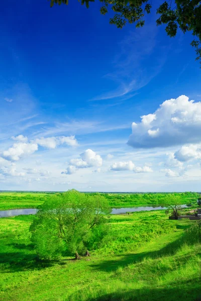 Vista sobre el pequeño río en verano —  Fotos de Stock