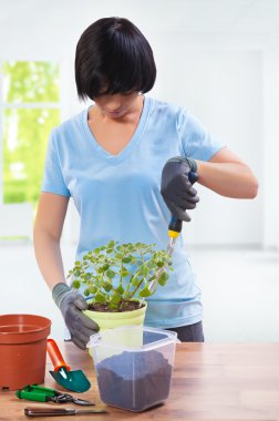 repot dişi çiçekler