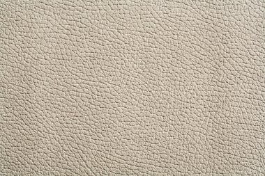 Beyaz deri dokusuna yüksek rezolution