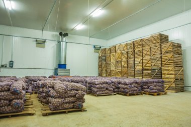 patates depolama evde
