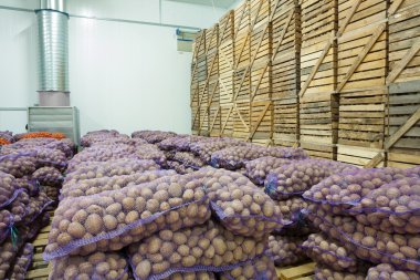 çanta ve patates kasa görüntüleme