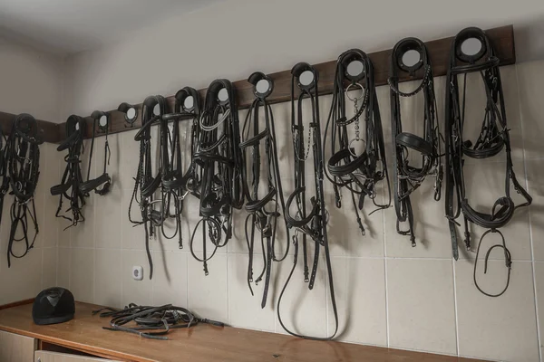 Horse harness — Stock Photo, Image