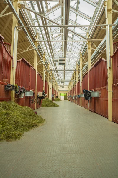 Paardenstallen — Stockfoto