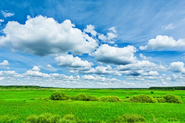 A mező és a felhős ég — Stock Fotó