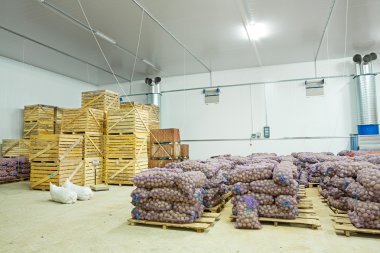 sandıklar içinde patates ambar görünümü