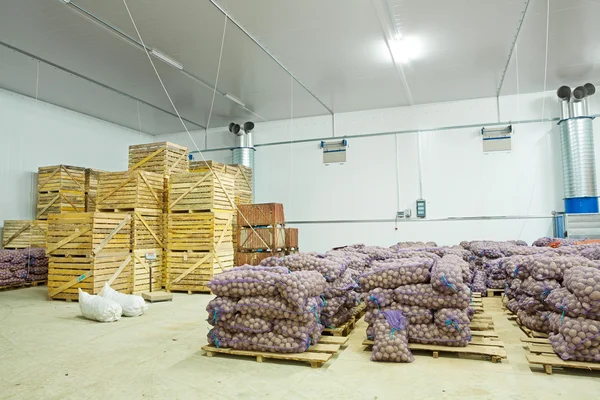 Magazijn weergave op aardappel in kratten — Stockfoto