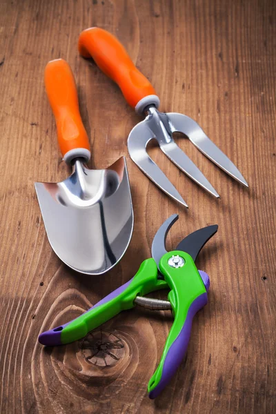 Set of gardening hand tools — Stock Photo, Image