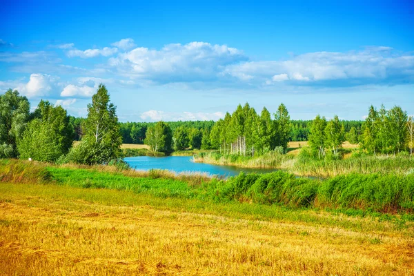 Lesní jezero a obloha — Stock fotografie